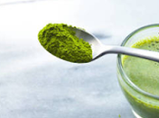 matcha, bebida está moda