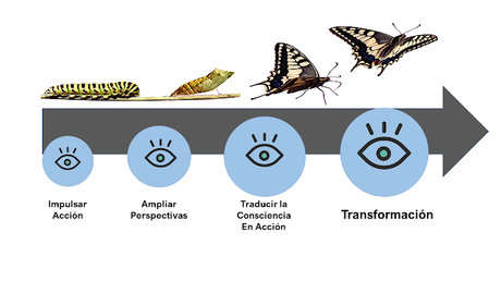 Reskilling. Viaje hacia el aprendizaje