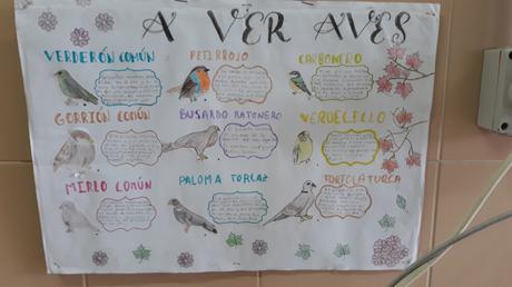 Aver Aves salta a los cuadernos con dibujos e historietas