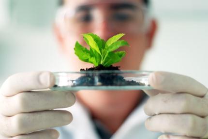 Biotecnología Ambiental