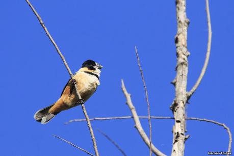 Sur de Entre Ríos (diciembre 2020) Sur de Entre Ríos (diciembre 2020)