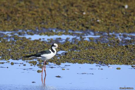 Sur de Entre Ríos (diciembre 2020) Sur de Entre Ríos (diciembre 2020)