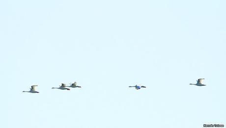 Sur de Entre Ríos (diciembre 2020) Sur de Entre Ríos (diciembre 2020)