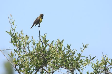 Sur de Entre Ríos (diciembre 2020) Sur de Entre Ríos (diciembre 2020)