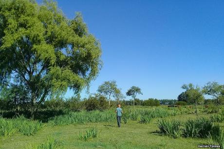 Sur de Entre Ríos (diciembre 2020) Sur de Entre Ríos (diciembre 2020)