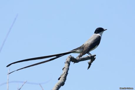 Sur de Entre Ríos (diciembre 2020) Sur de Entre Ríos (diciembre 2020)