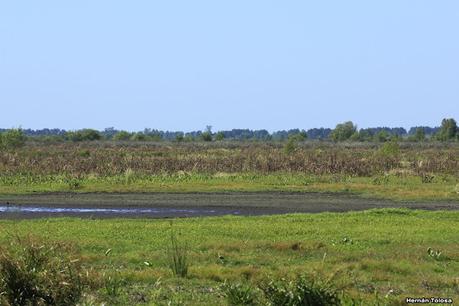 Sur de Entre Ríos (diciembre 2020) Sur de Entre Ríos (diciembre 2020)