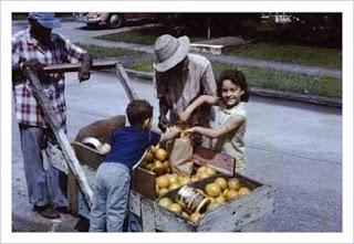 El Recolector de Botellas.🍶 El Recolector de Botellas.🍶