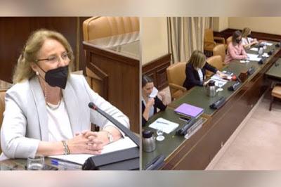 La violencia machista, en España.