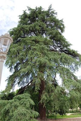 La Quinta de Vista Alegre