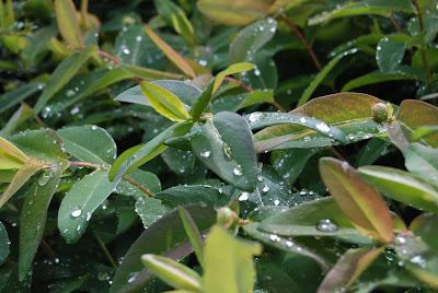 La Quinta de Vista Alegre