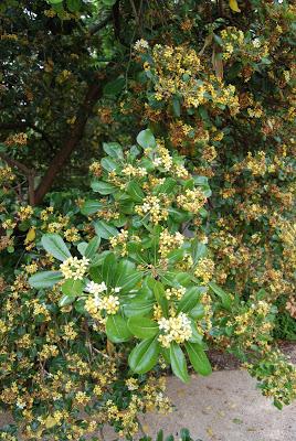 La Quinta de Vista Alegre