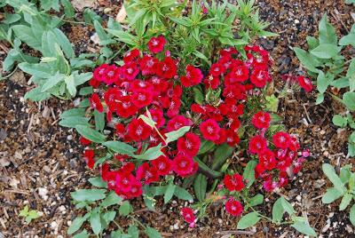 La Quinta de Vista Alegre