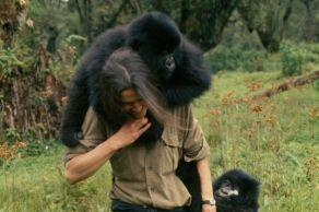 Dian Fossey