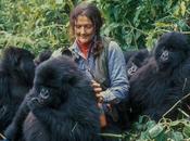 Dian Fossey