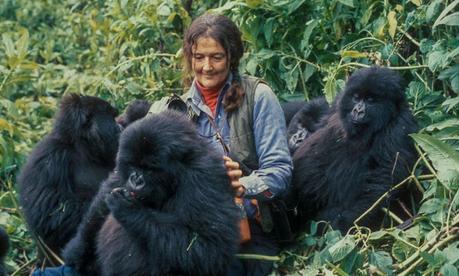 Dian Fossey