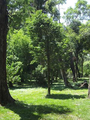 Misiones Jesuíticas I