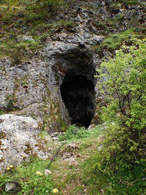 RESEÑA: Sanguínea.