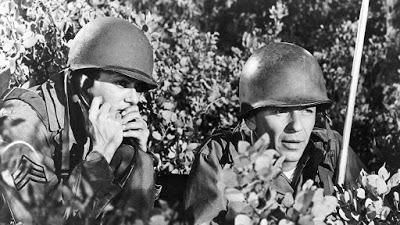 CENIZAS BAJO EL SOL (Kings go Forth) (USA, 1958) Melodrama, Bélico