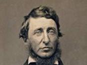 Cuestionar poder desobediencia civil