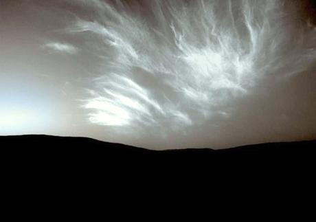 Crónicas del Campo Santo Nº 36