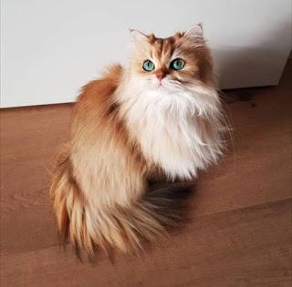 Serge y yo en Montpellier Serge y yo en Montpellier