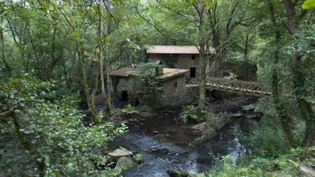 Ríos apartados para disfrutar de un día campestre