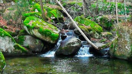 Ríos apartados para disfrutar de un día campestre
