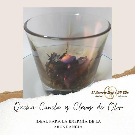 Abundancia con Canela y clavos de olor