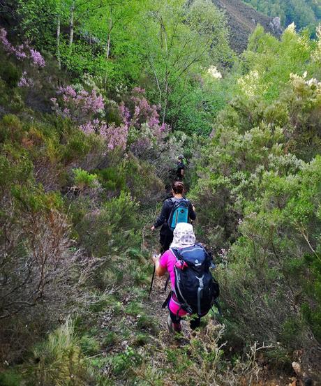 RUTA DE LAS BRAÑAS TEVERGANAS (P.R. AS-104)