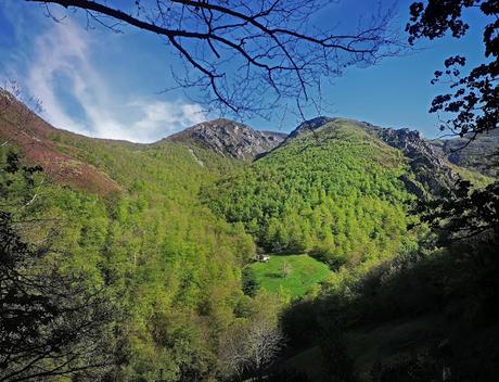 RUTA DE LAS BRAÑAS TEVERGANAS (P.R. AS-104)