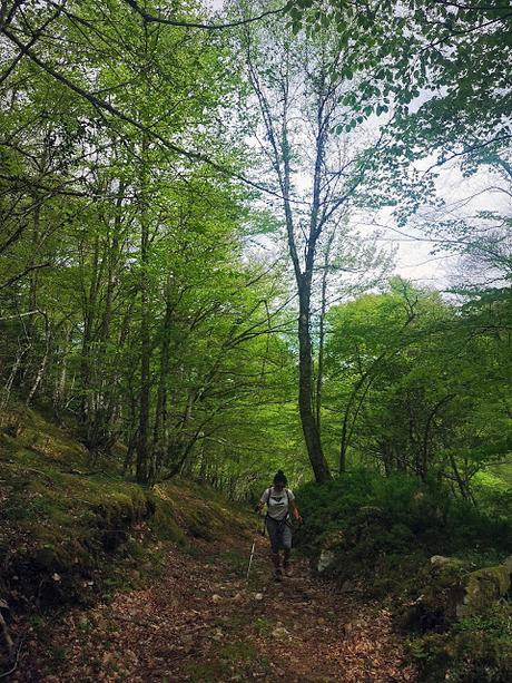 RUTA DE LAS BRAÑAS TEVERGANAS (P.R. AS-104)