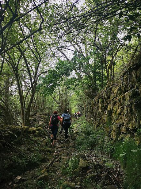 RUTA DE LAS BRAÑAS TEVERGANAS (P.R. AS-104)