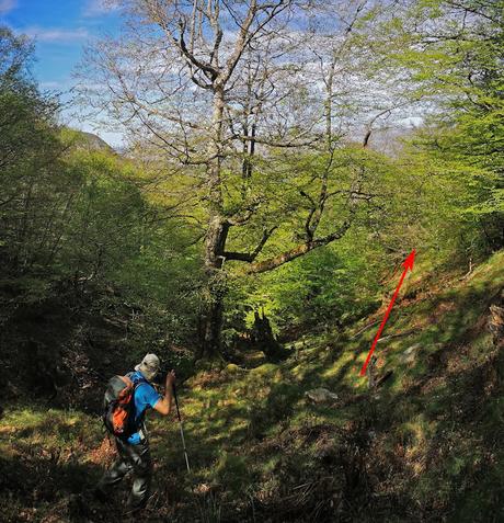 RUTA DE LAS BRAÑAS TEVERGANAS (P.R. AS-104)