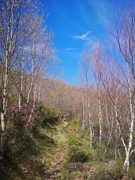 RUTA DE LAS BRAÑAS TEVERGANAS (P.R. AS-104)