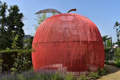 Con niños | Conocer Galicia en tren turístico 12