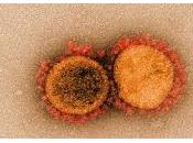 Fármaco torna prometedor para combatir COVID-19