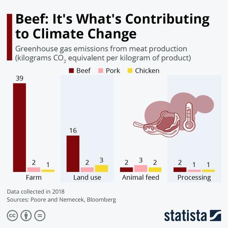 Containacion por consumo de carne