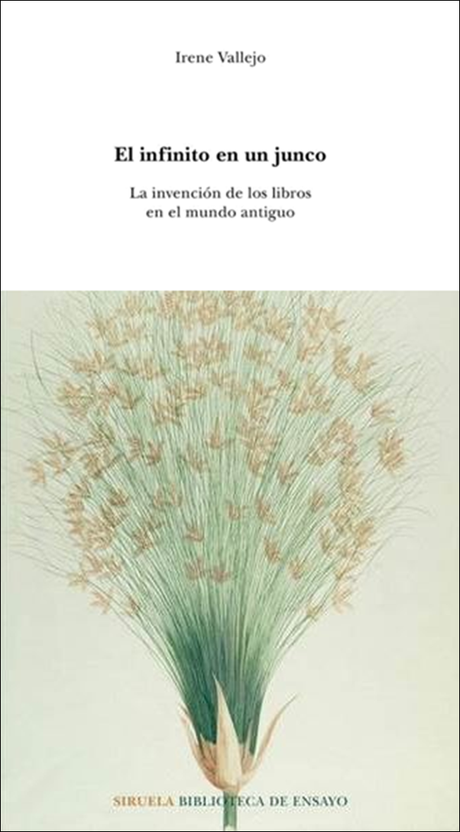 El infinito en un junco