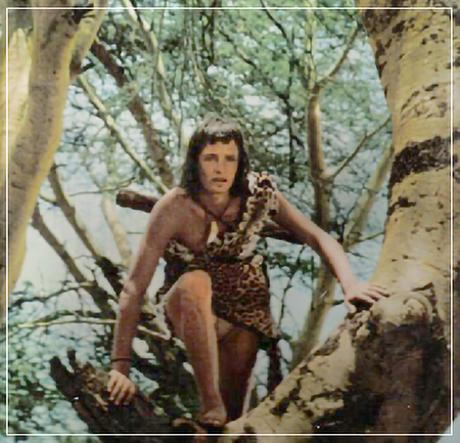 Crónicas del Campo Santo Nº 37