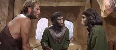 Crónicas del Campo Santo Nº 37