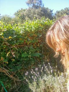 El bien común El bien común