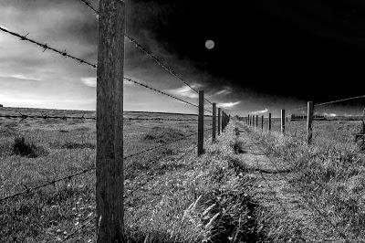 ¿Hacia dónde dirigirnos?