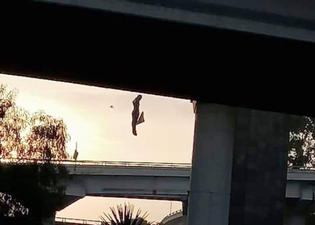 Cuelgan dos muñecos en el Distribuidor Juárez