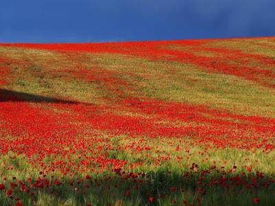 El  Sáhara y los derechos del pueblo saharaui.