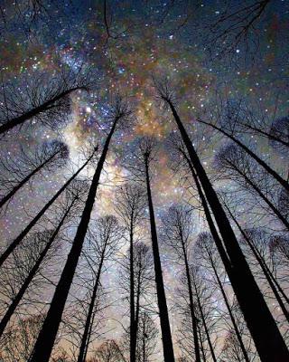 El  Sáhara y los derechos del pueblo saharaui.