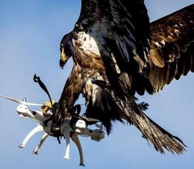 El  Sáhara y los derechos del pueblo saharaui.