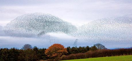 Crónicas del Campo Santo Nº 38