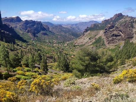 paisaje-cerca-roque-nublo 