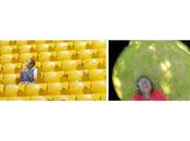 todos gusta plátano' 'All Light, Everywhere', ganadoras Documenta Madrid 2021